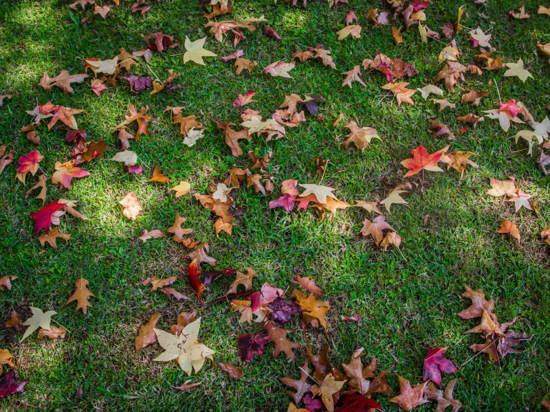 Seasonal Demand: Escaping the Feast and Famine Cycle